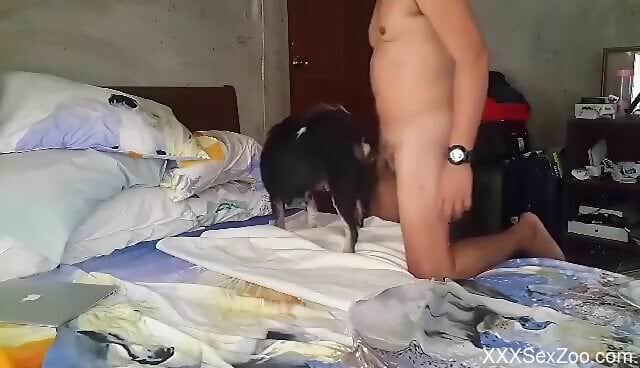 Hot animal is ready to service his throbber today