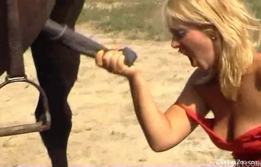 Elegant zoofil blonde in dress jerks a stallion dick