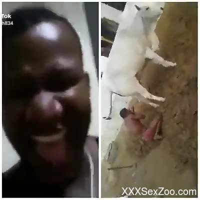 Dude enjoying hot action with a sexy animal here