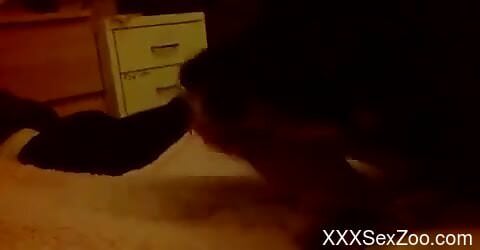 POV oral pleasure from a very sexy animal in POV