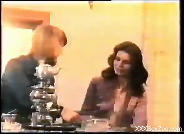 Retro sex scene focusing on hardcore fucking