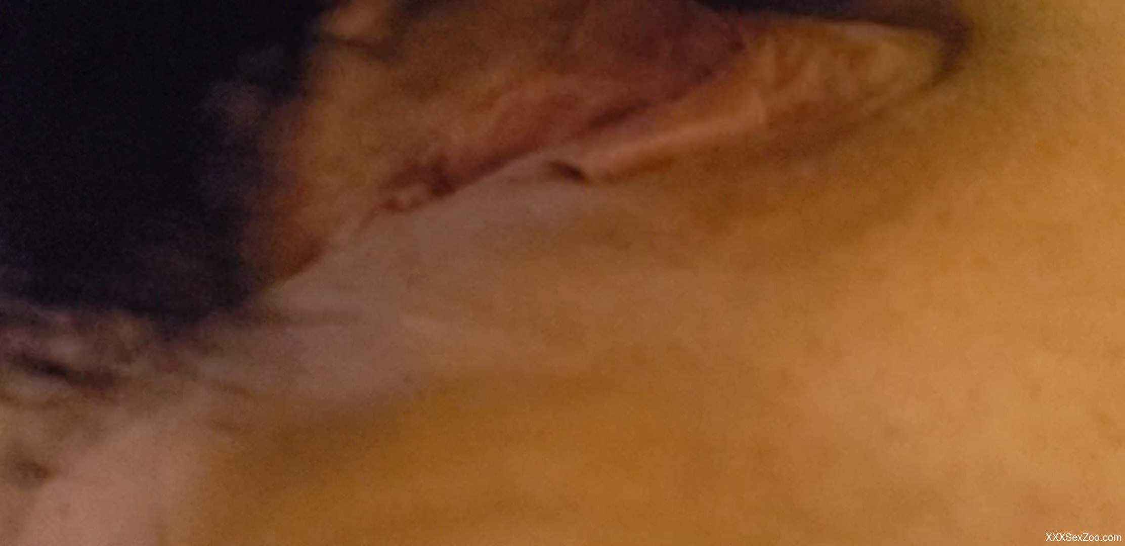 Floppy zoophile pussy getting licked by a black dog