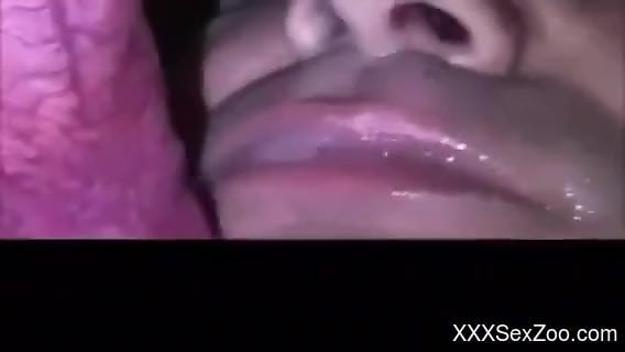 Dude greedily swallowing this dog's delicious cum