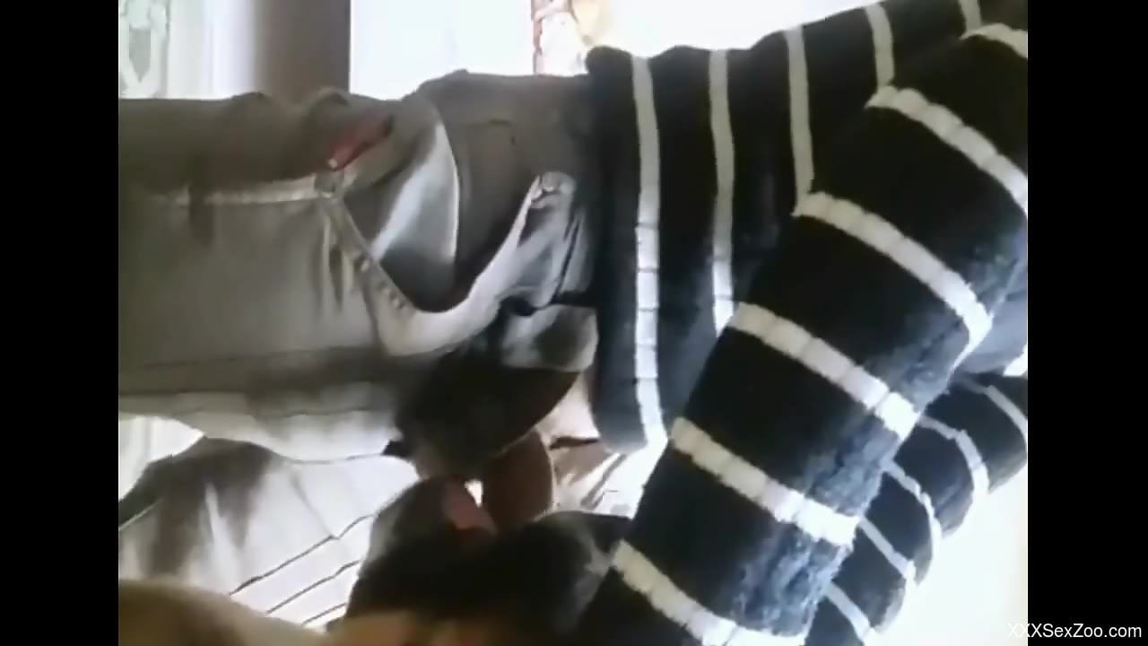 Dude fucking a dog's face and blowing his load on it