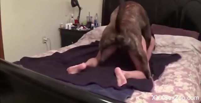 Doggy style fuck scene with a very submissive zoophile