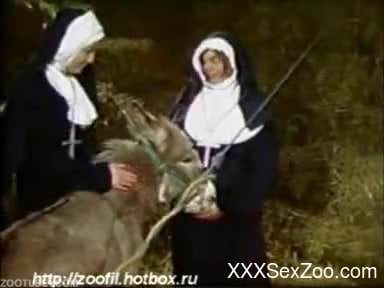 Nun tries zoophilia porn when all alone with her donkey