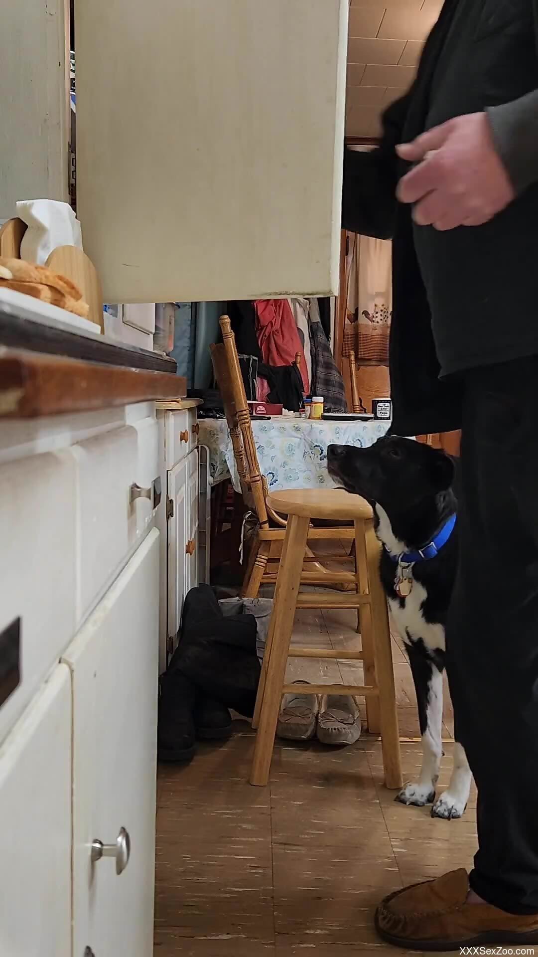 Guy's asshole looks gorgeous as he teases everyone