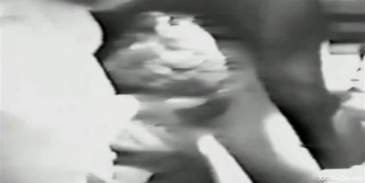 Black and white fuck movie with zoophile ladies