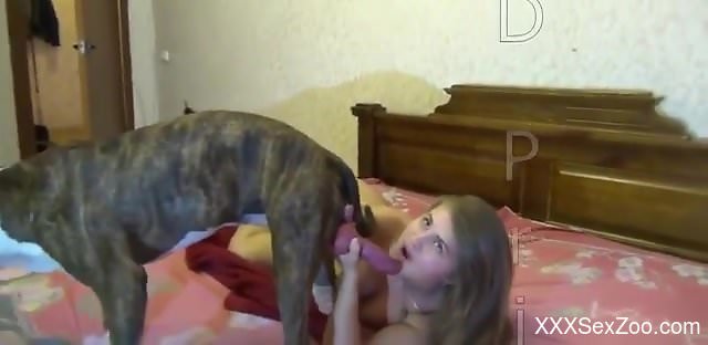Astonishing Russian pussy railed by a sexy beast
