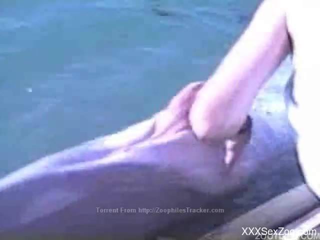 Awesome fisting in exotic bestiality movie with a passionate dolphin