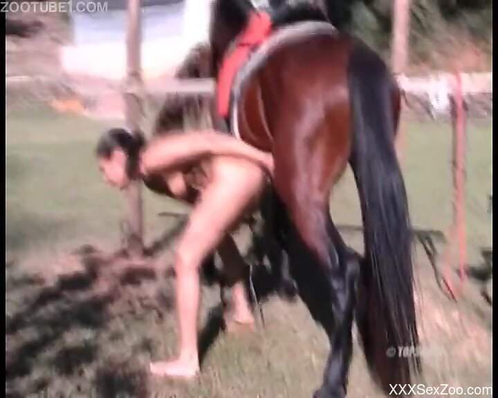 Sexy ass female handles the horse's penis in outdoor scenes