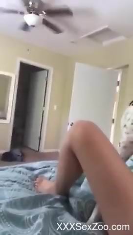 Bitchy lady wants this dog to pleasure her twat