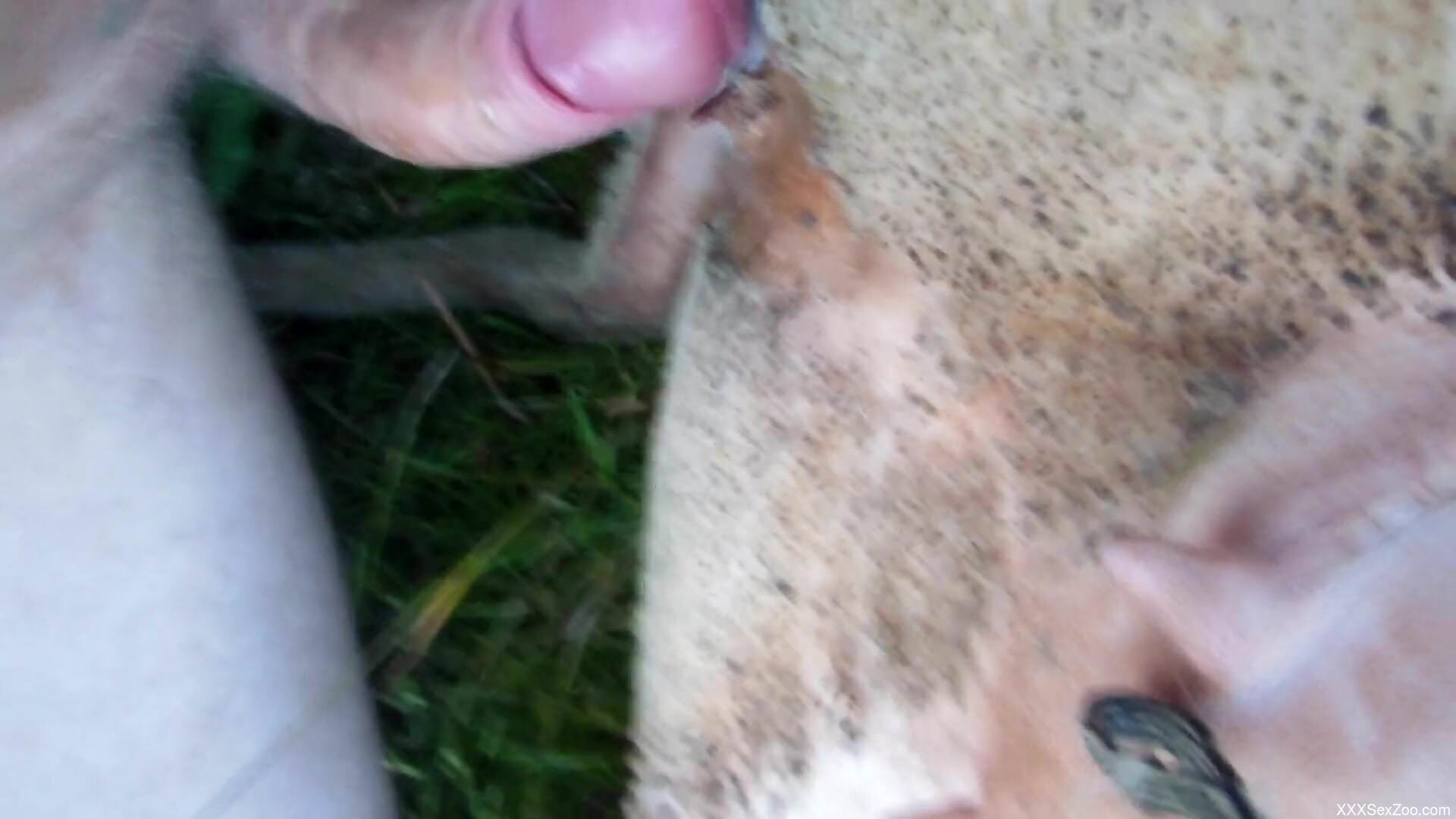 Guy uses his curved cock to fuck a twisted beast