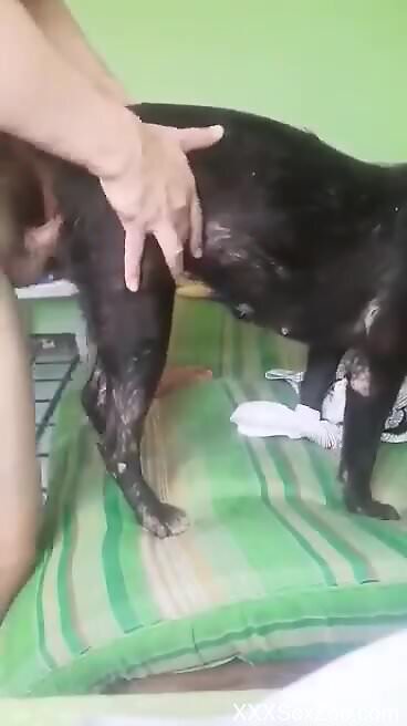 Hot guy makes love to an animal with his hard D