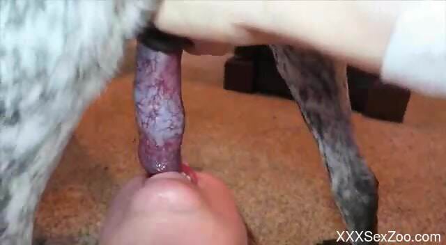 MILF tries tasty dog dick in extra sloppy manners