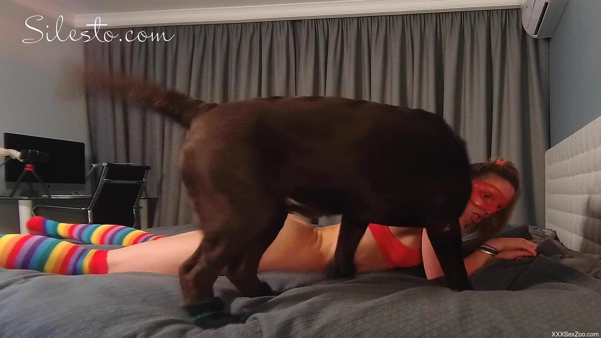 Amateur with nice ass grants herself a fun time fucking with the dog