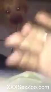 Eager guy throat-fucking a submissive dog on camera