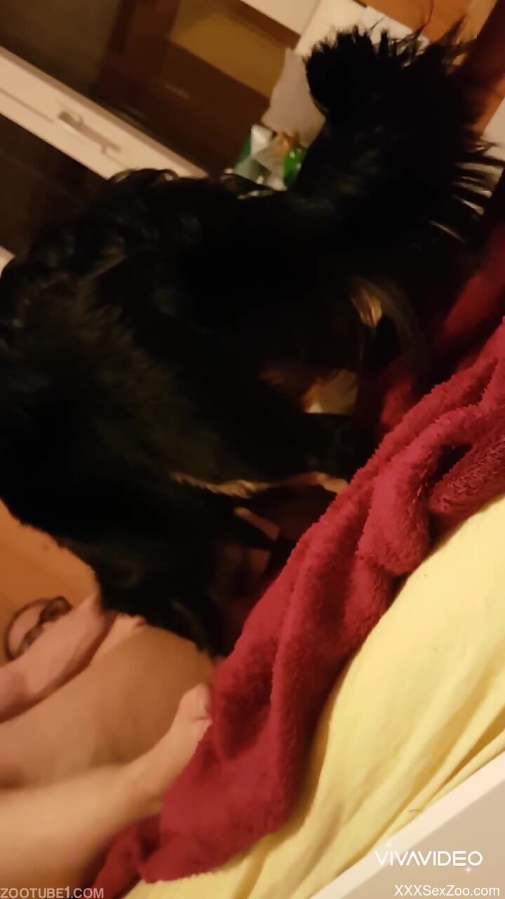 Nude woman filmed when the dog licks her pussy and ass