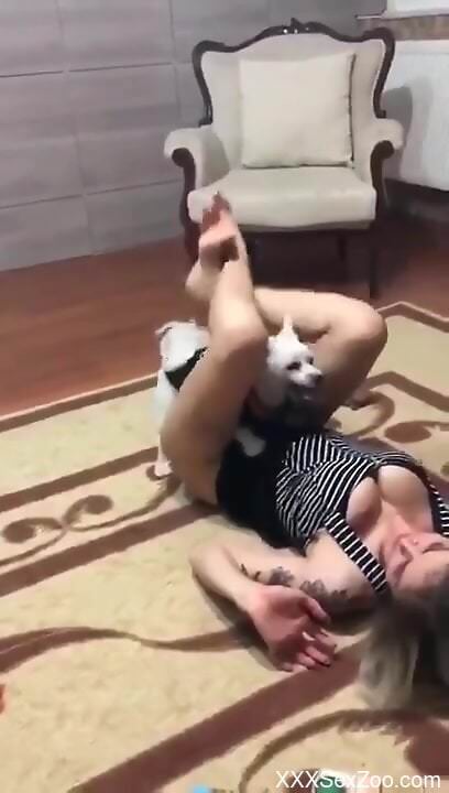 Aroused slut gets intimate with her little dog