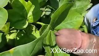 Man jerks off in outdoors with a warm on his dic