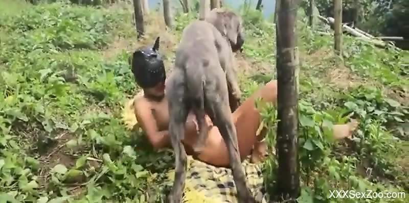 Masked hottie jerks off a dog and deepthroats its dick