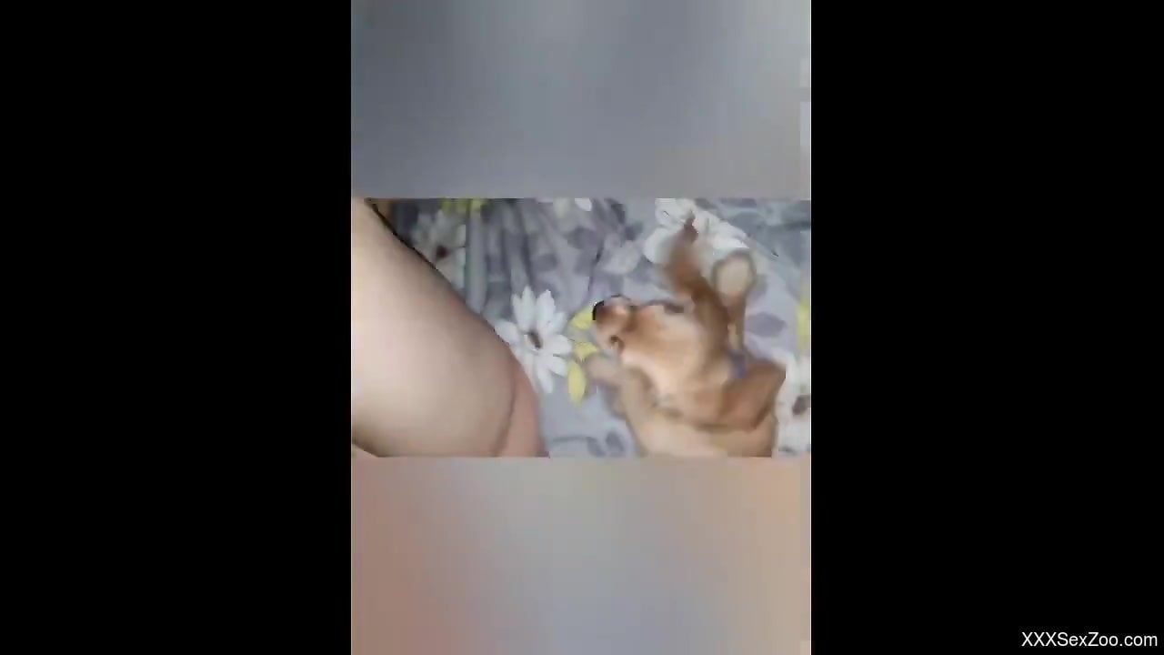 Horny blonde with a shaved pussy licked by a mutt