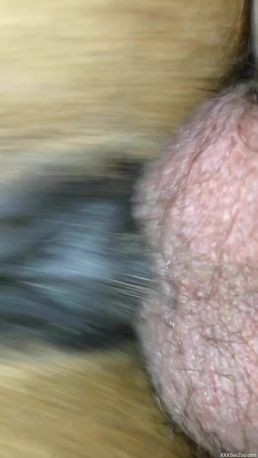 Badass pussy of a wet animal getting fucked HARD