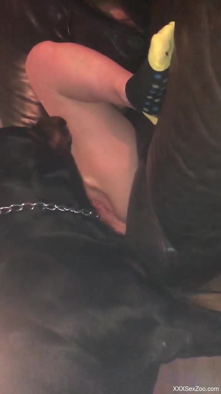 Horny females takes real dog dick up the pussy and ass