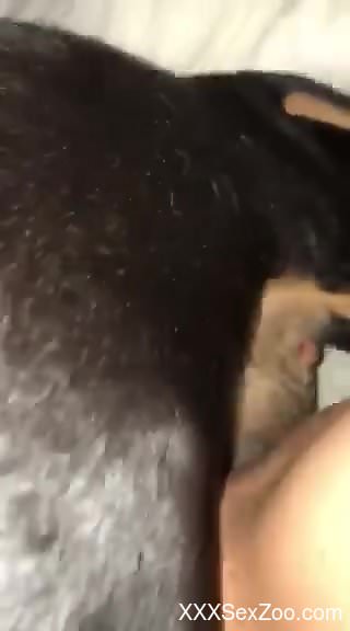 Sexy animal enjoying hardcore screwing with a dog lover