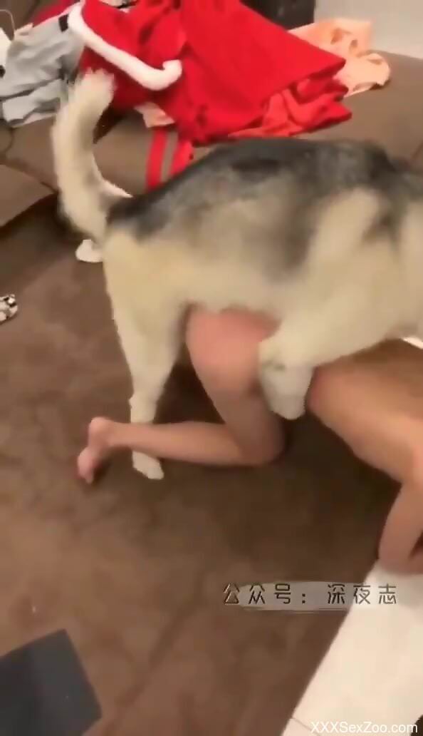 Home alone slut gets fucked by her dog in restless kinks