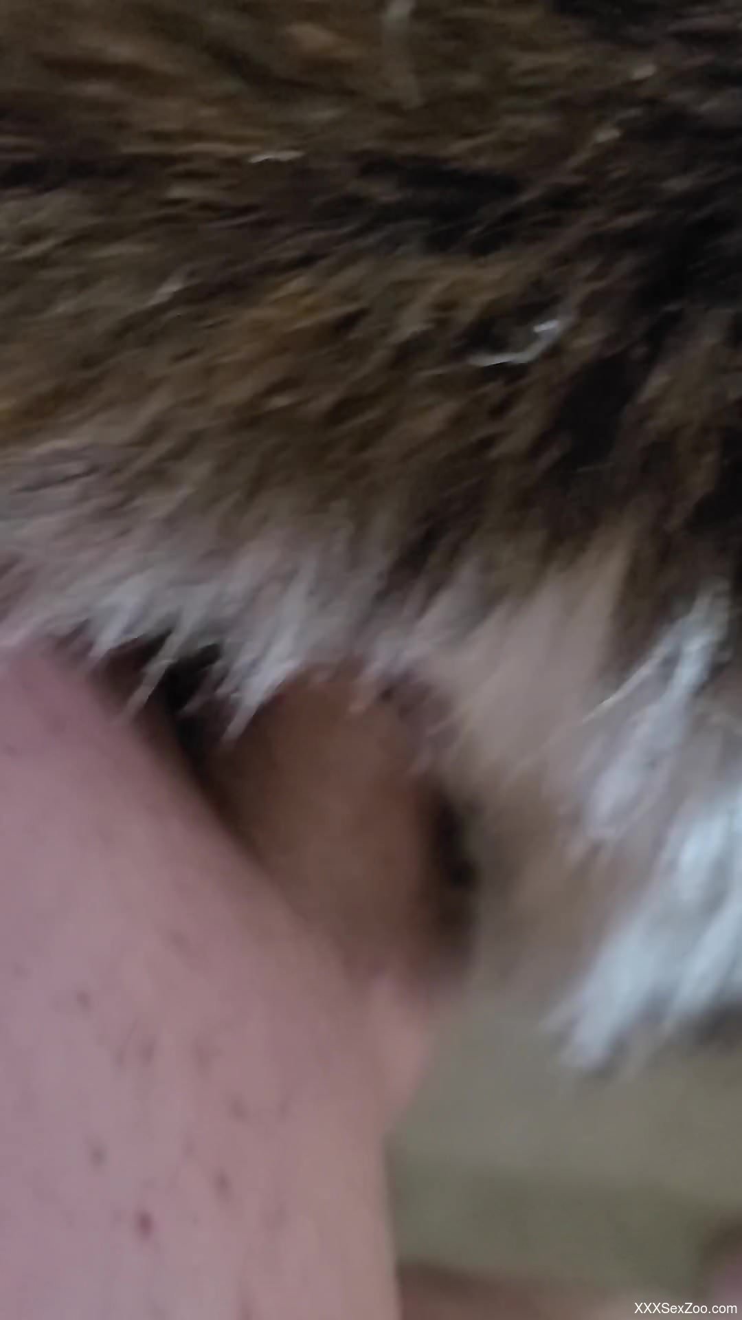 Dirty animal getting fucked from behind by a beast lover