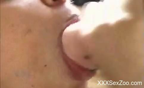 Big-breasted blonde sucks on a horse's cock outdoors