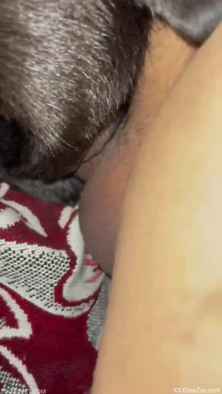 Hot guy fucking a twisted beast up close too