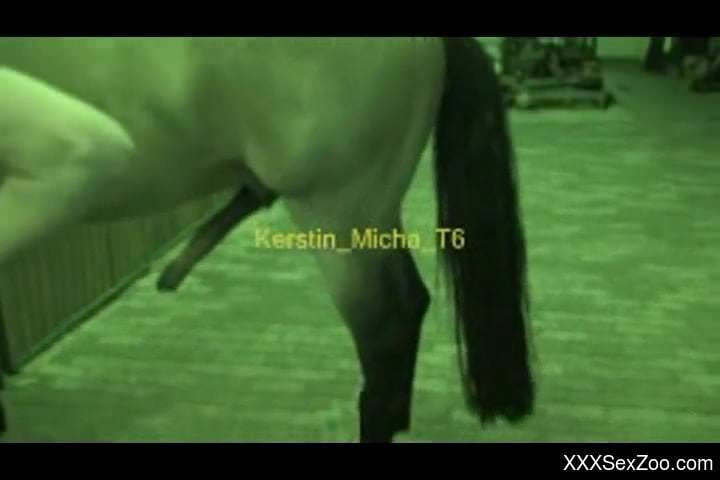 Red-haired girl feels dog's cock in tight pussy