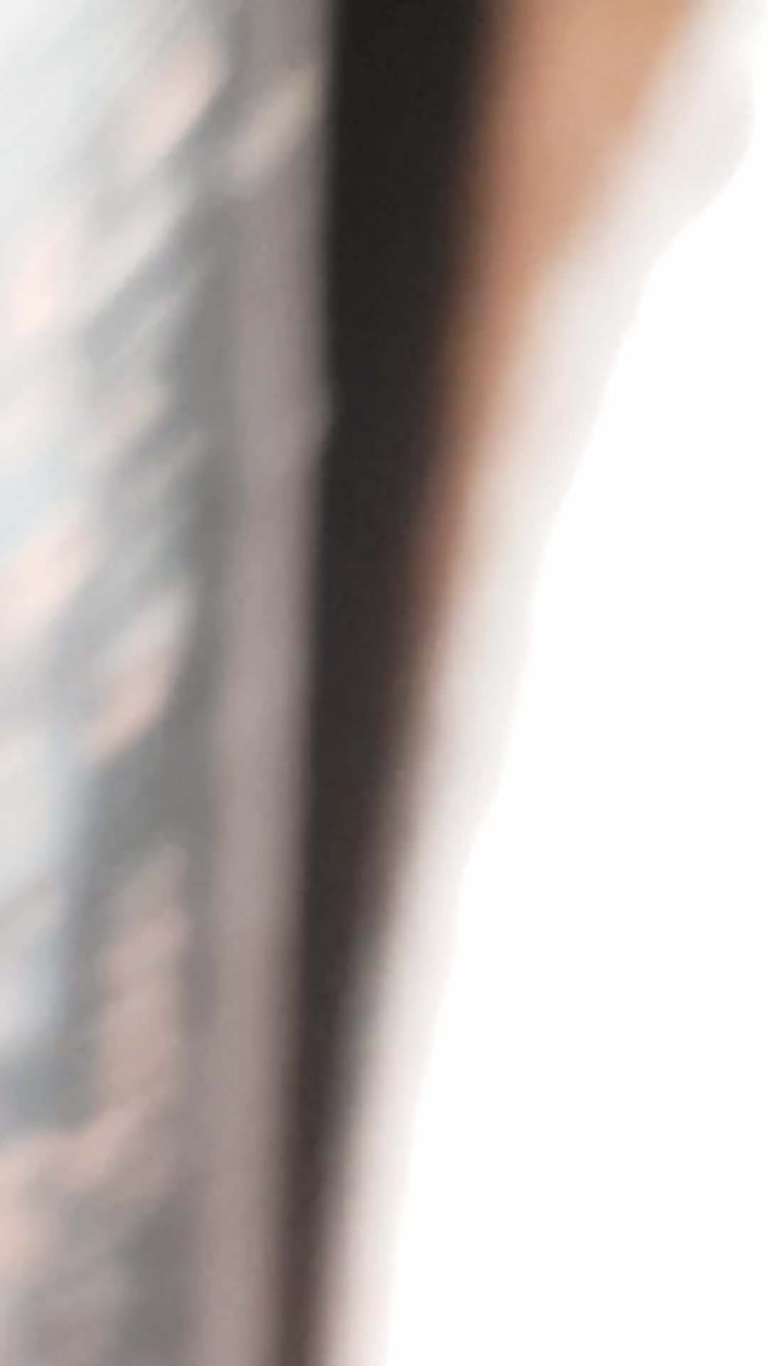 Sexy stallion showing off its meaty dick on camera