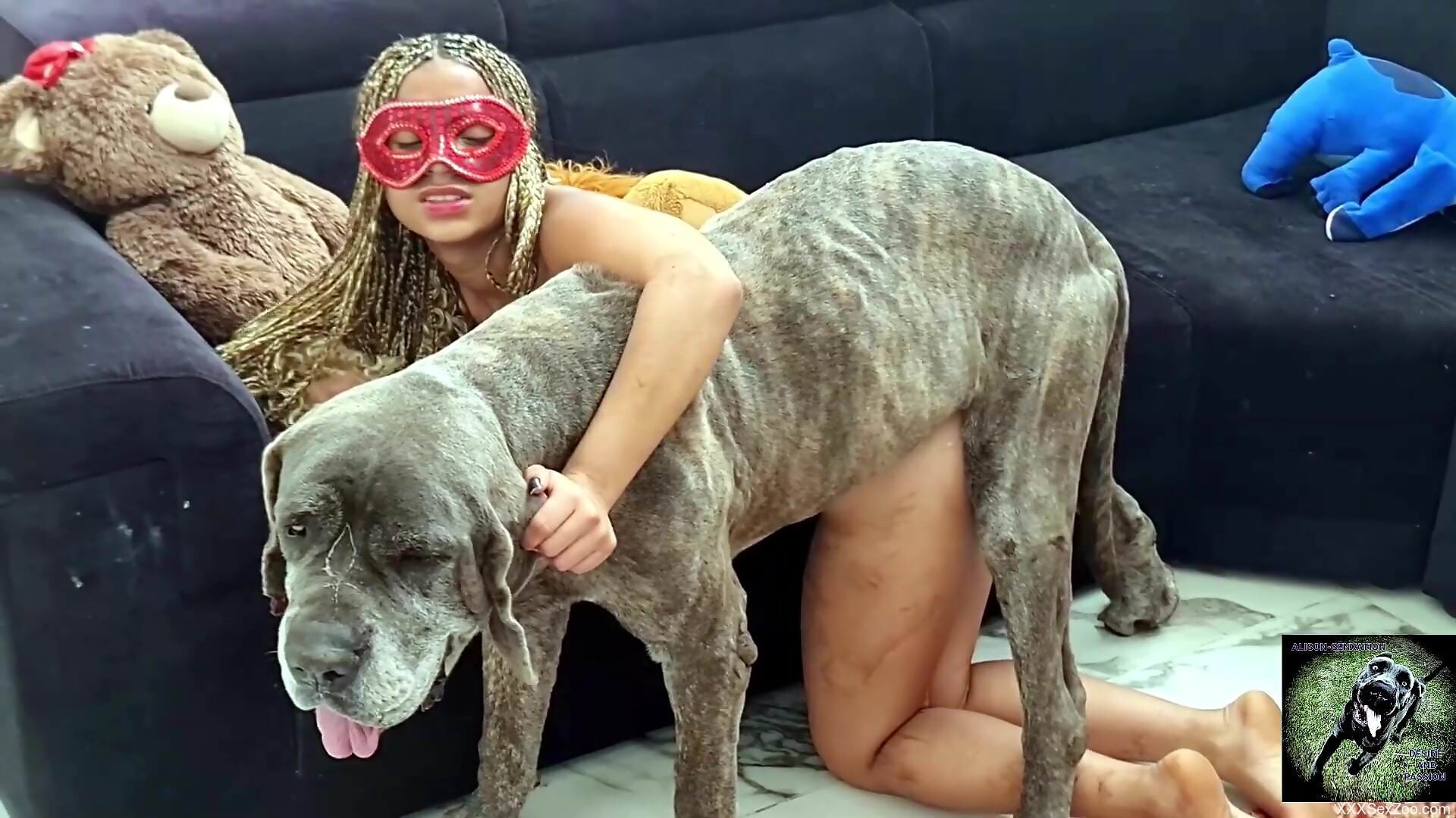 Latina slut shoves dog's great cock in her mouth