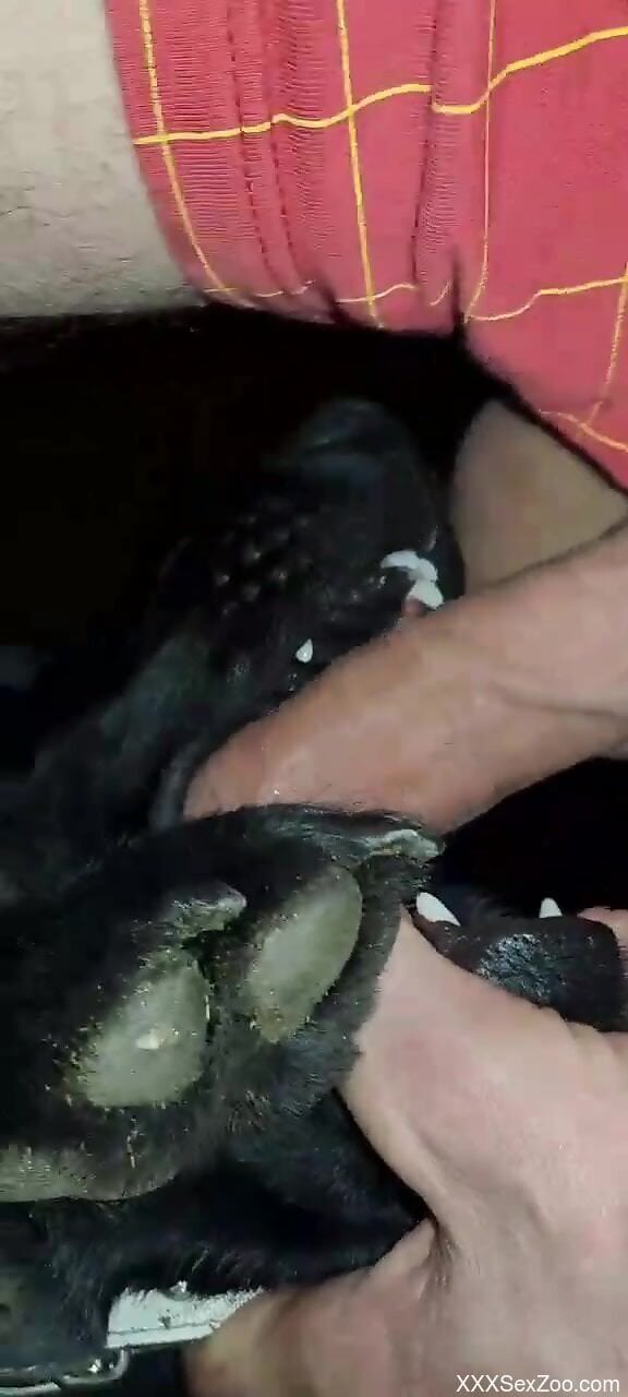 Horny man fist fucks dog in the pussy to feed his lust