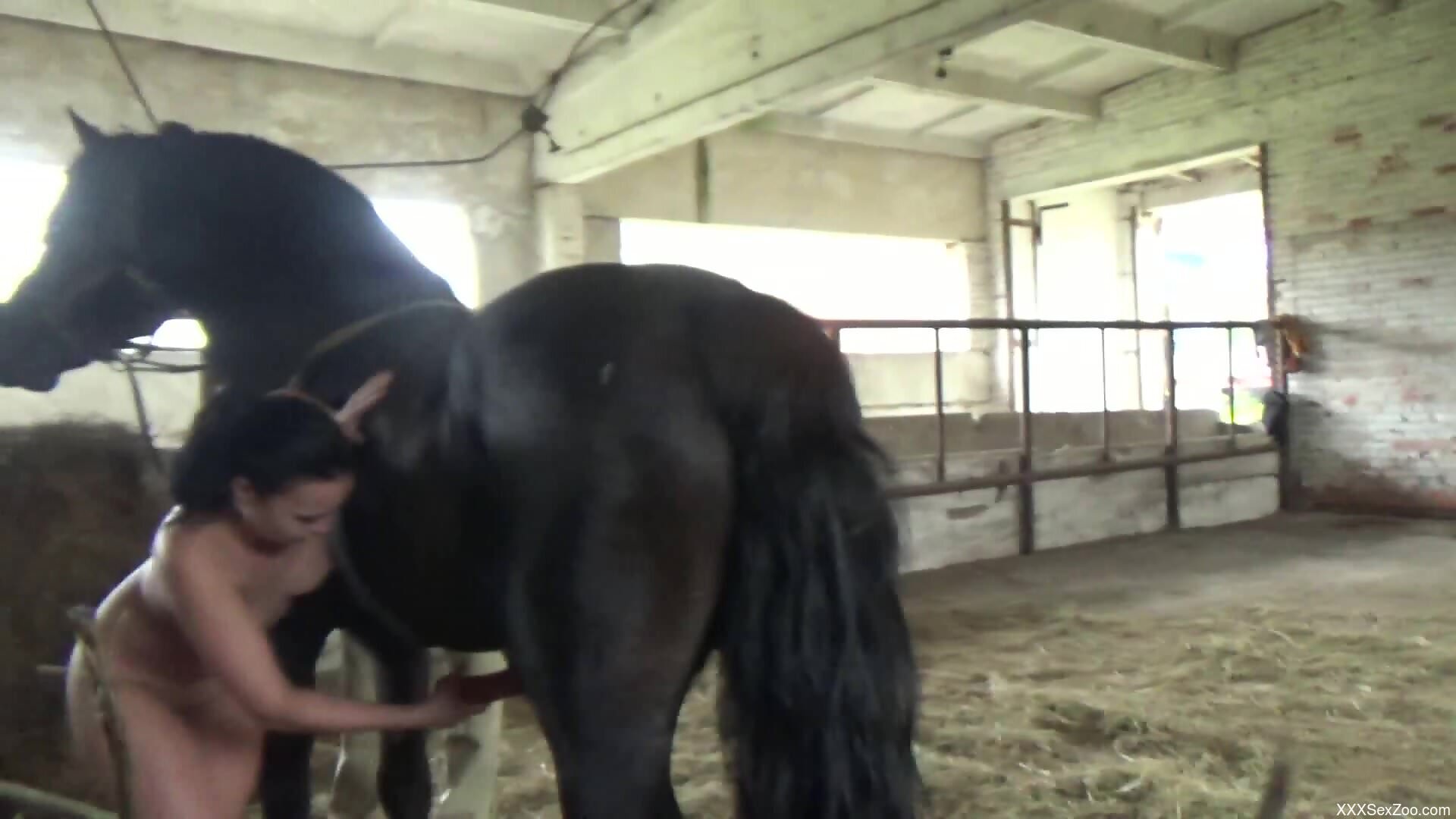 Naked woman feels entire horse dick in her tight holes