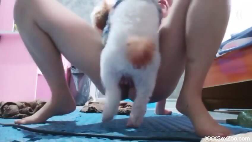 Hot girl petting her pussy to get fucked silly