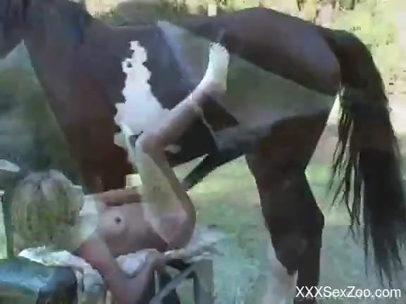 Perky butt blonde spreads her legs for a sexy stallion