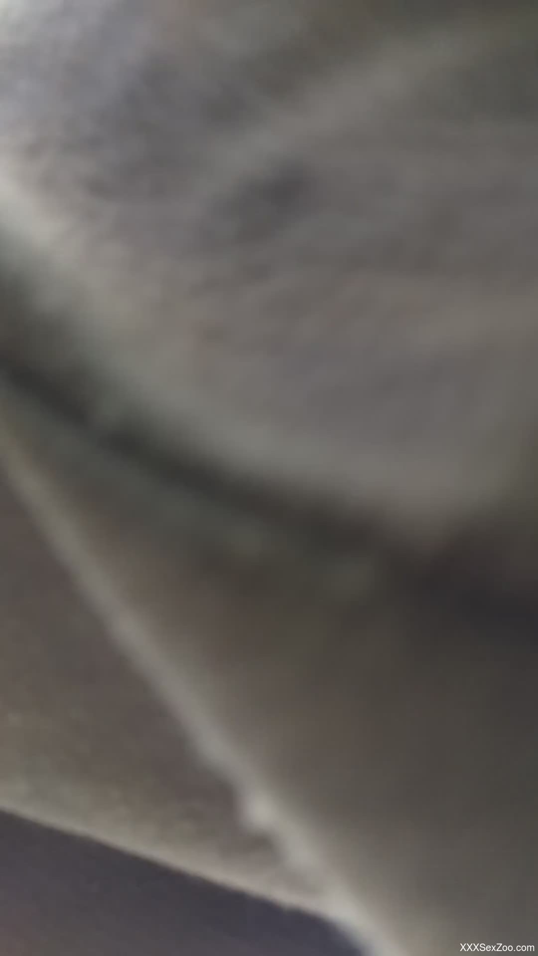 Horny man tries anal sex with a furry animal on live cam