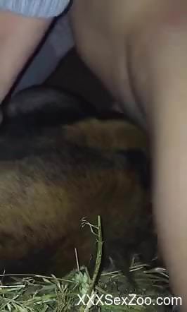 Juicy dog hole getting fucked by a horny dude