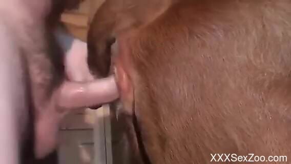 Horny dude is going to fuck that hole big time