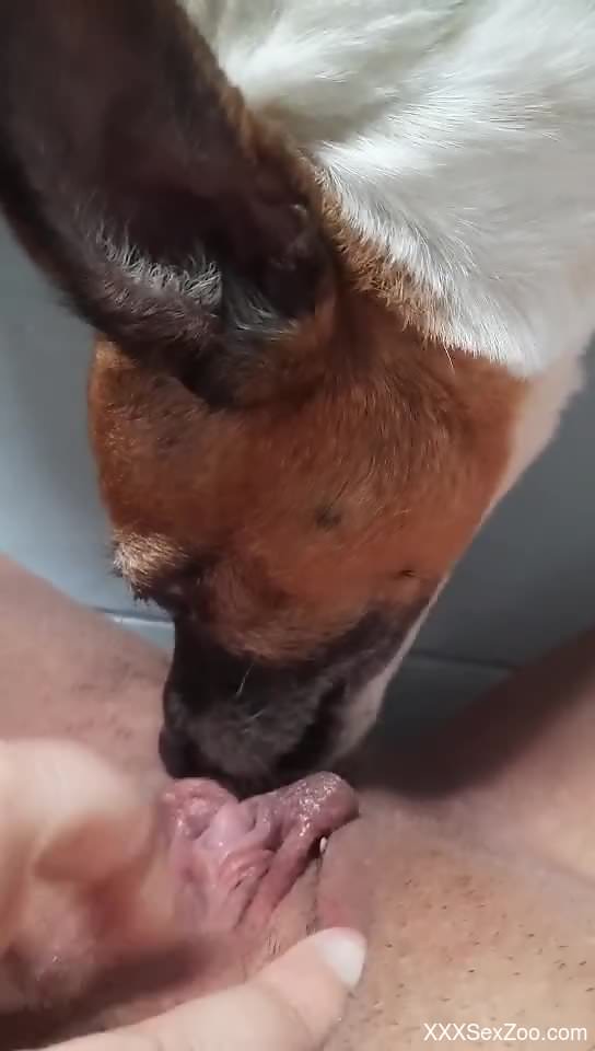 Dog sniffs and licks owner's ass in dirty homemade zoo XXX