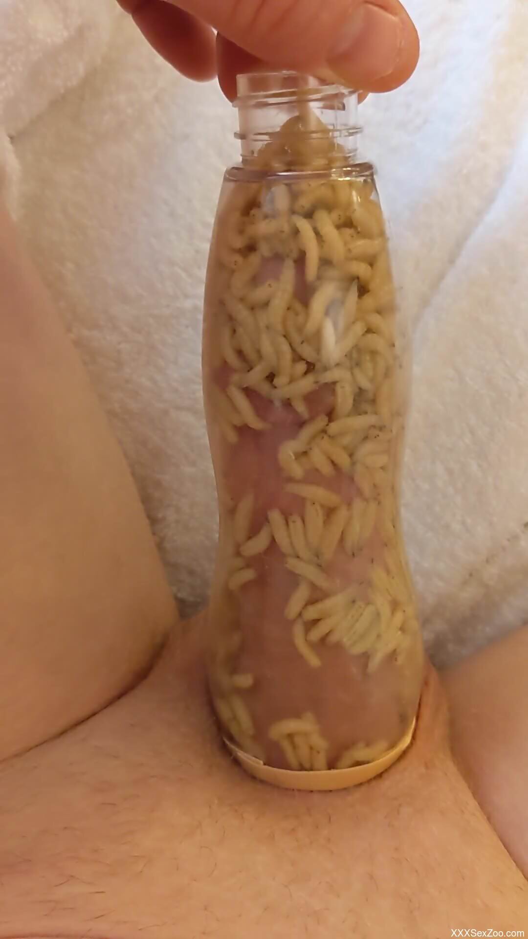Man inserts dick in a jar filled with worms