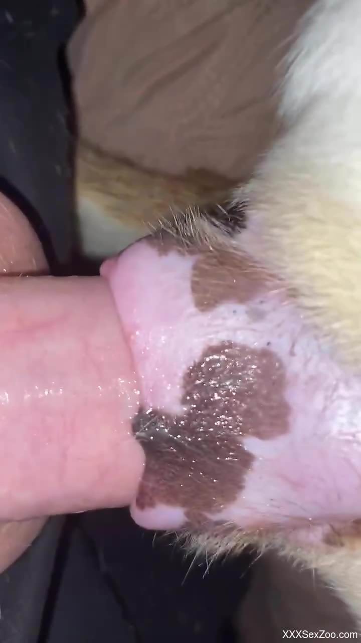 Guy working hard to stretch that animal twat here