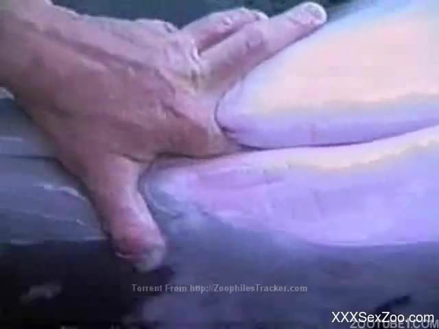 Dude decides to finger-blast some sea creature