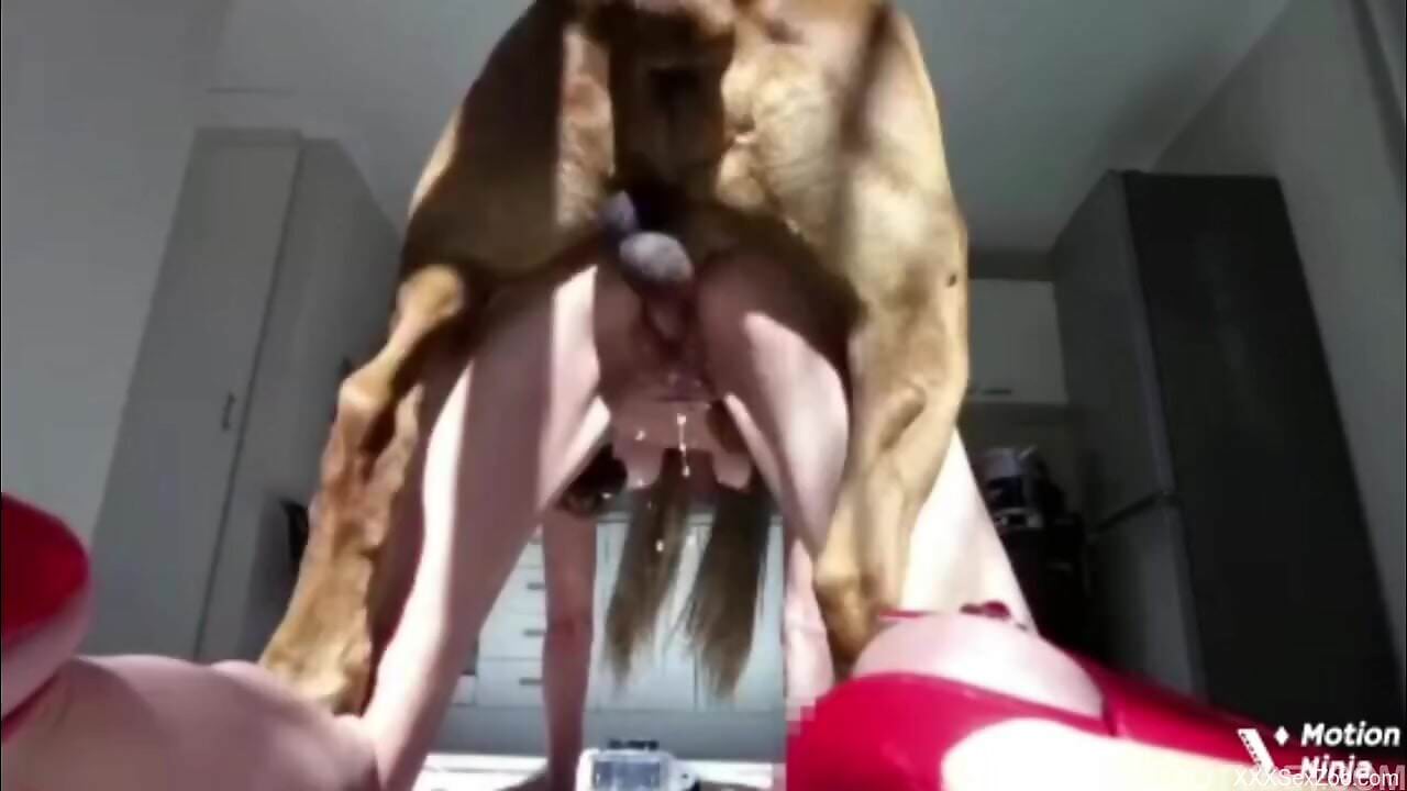 Dog fucks amateur nude woman and comes on her back