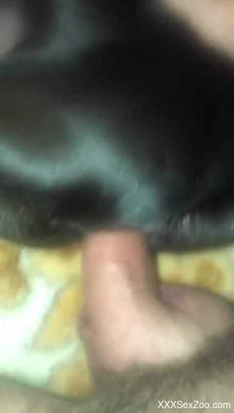 Dude's hard dick exploring the depths of that pussy