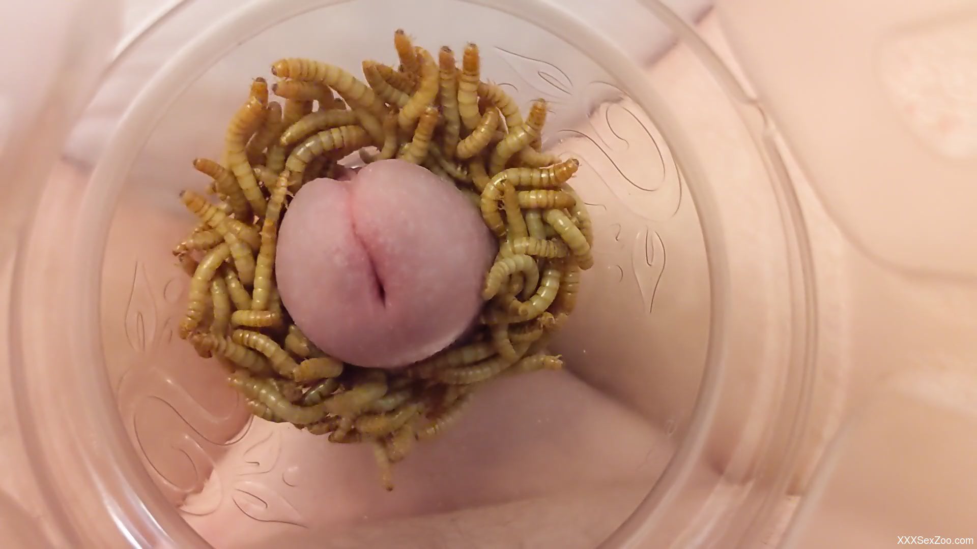 Horny man jerks off using worms to stimulate him better